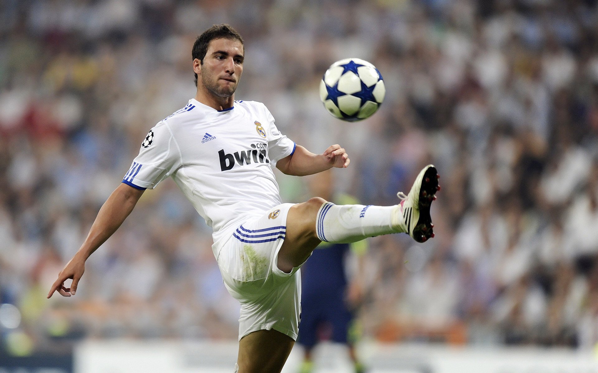 中国足球职业联赛推动多元身份球迷参与权利，中国足球的球迷们